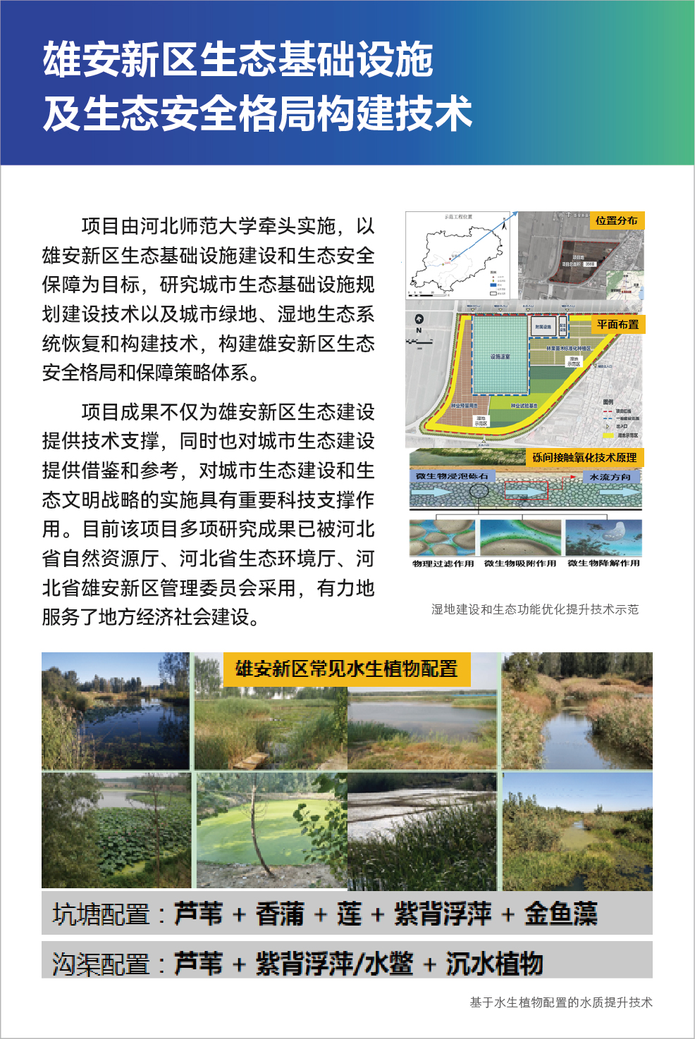 成果牌-01.jpg